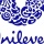 Unilever: An Ethical Company? 